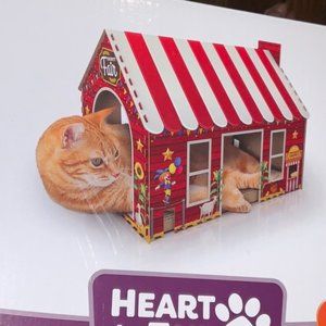 Cat Scratching Playhouse COUNTY FAIR New In Box with catnip